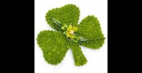 SHAMROCK