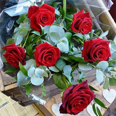 Six Red Roses