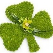 SHAMROCK