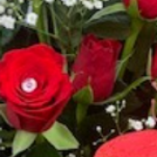 50 red rose arrangement